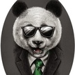 User avatar for Тортикк
